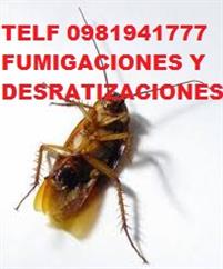 FUMIGACION Y DESRATIZACIONES image 2