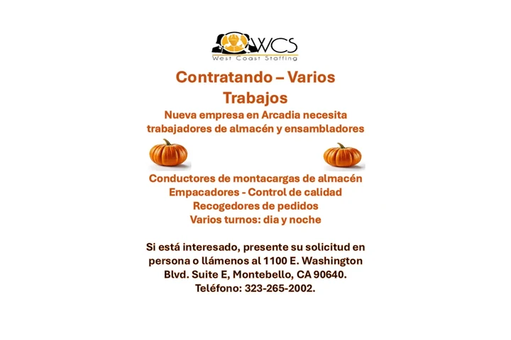 ESTAMOS CONTRATANDO image 1