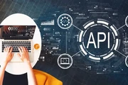 Expert API Testing Company USA