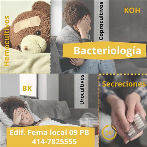 Bacteriología image 2