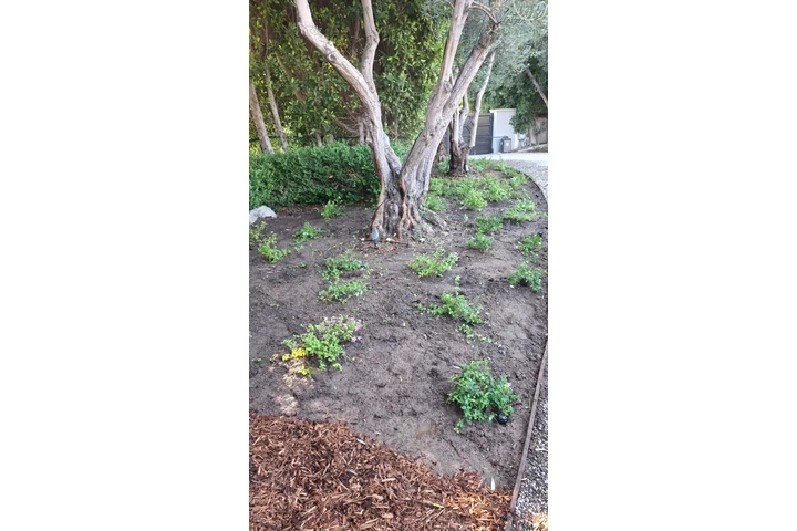 Gardening California image 3