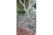 Gardening California thumbnail