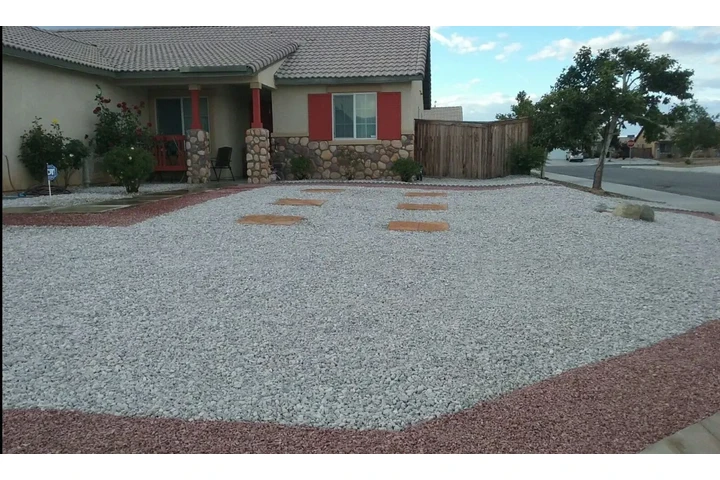 Economic Tree Service image 7