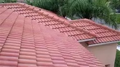 ROOF PERFORADO? image 1