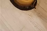 PlOMERO BUENOS PRECIOS fontana thumbnail