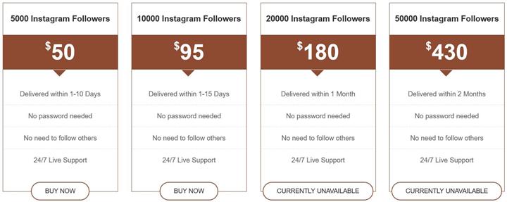 Buy Real Instagram Followers image 2