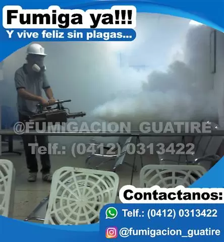 fumigacion caracas guarenas image 5