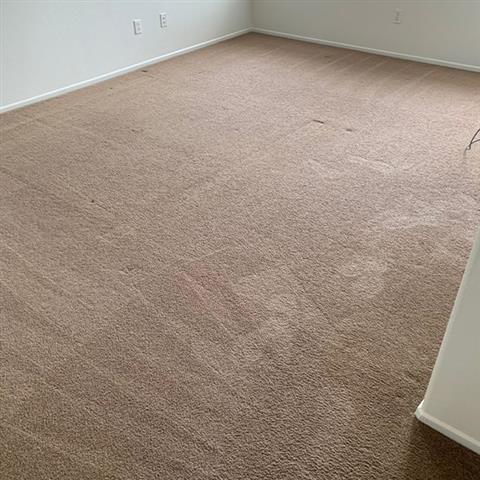 Paniagua Carpet Cleaning image 3