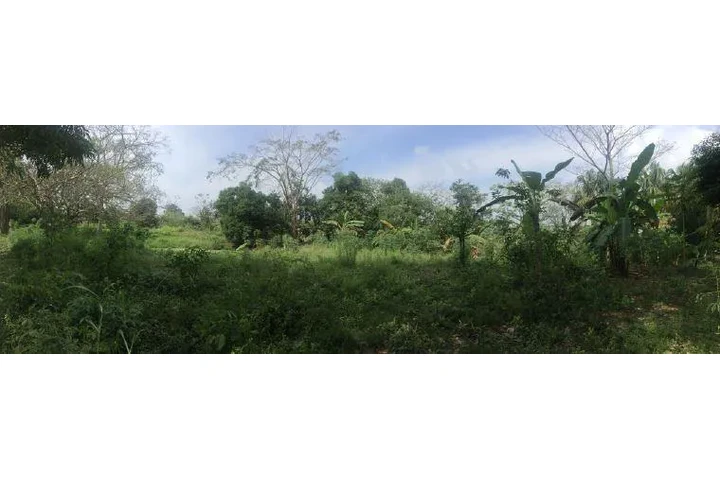 $990000000 : Venta de Terreno en Cartagena image 3