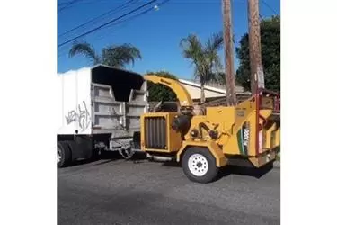 CORTAMOS Y PODAMOS ÁRBOLES en San Bernardino