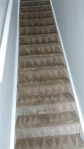 DCC SERVICES (CARPET ClEANING) image 7
