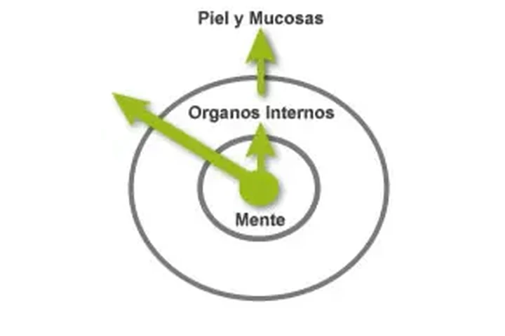 Dermatologo / Dr. Juan Fajardo image 1