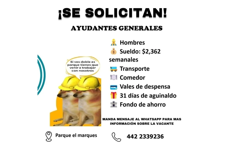 Ayudantes generales image 1