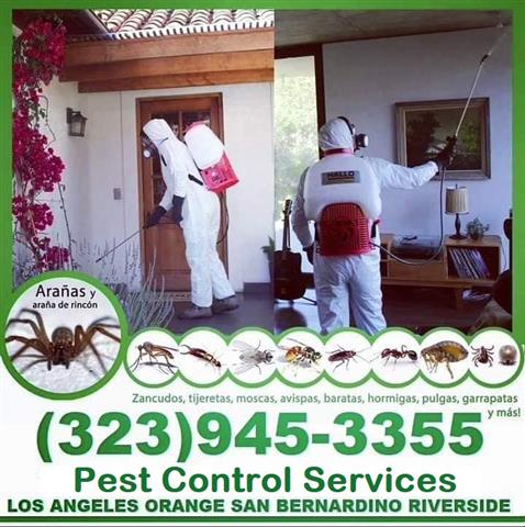 PEST CONTROL LOS ANGELES 24/7. image 10