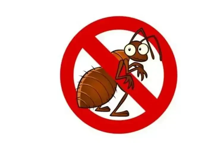 PEST CONTROL FUMIGACIÓN image 1