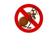 PEST CONTROL FUMIGACIÓN