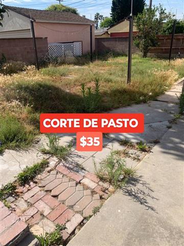 Corte de pasto $35 🏡 image 1