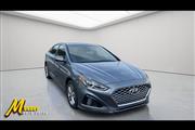 2019 Sonata LIMITED en Tampa