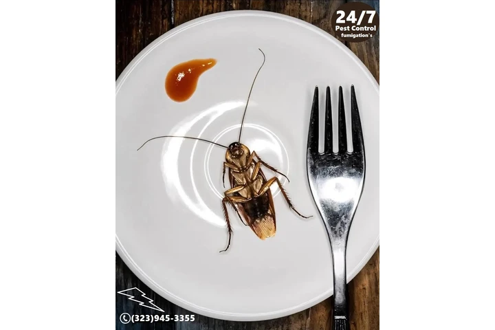 ROACHES CONTROL (323)945-3355. image 6
