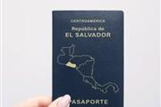 Asesoría Profesional en Los Angeles