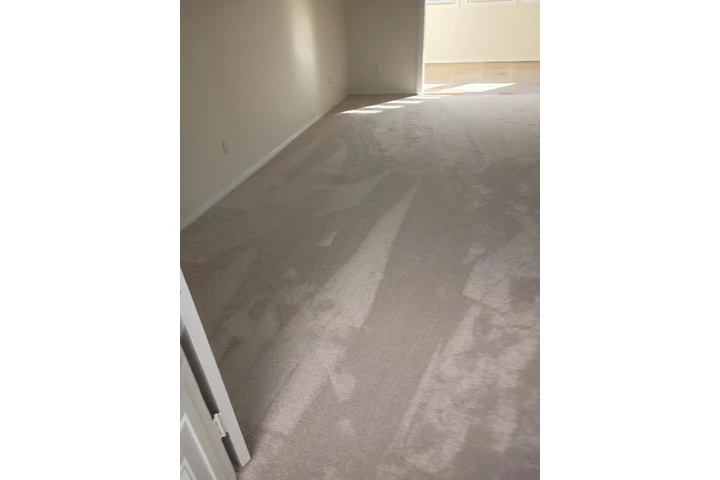 CARPET SERVICE image 8