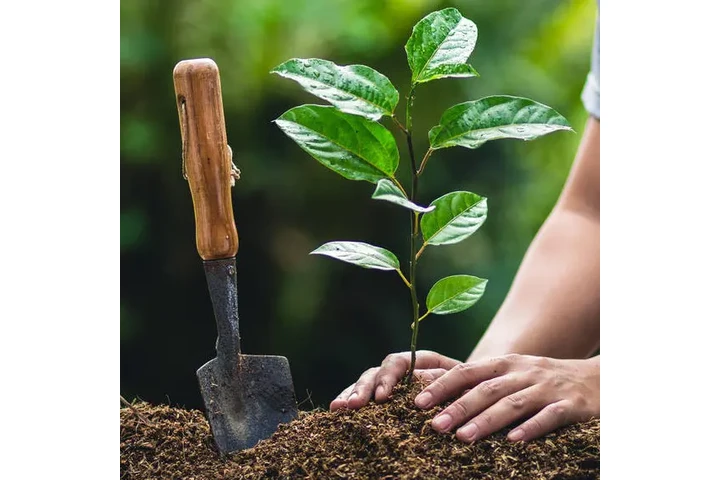 Exceptional  Landscape Service image 4