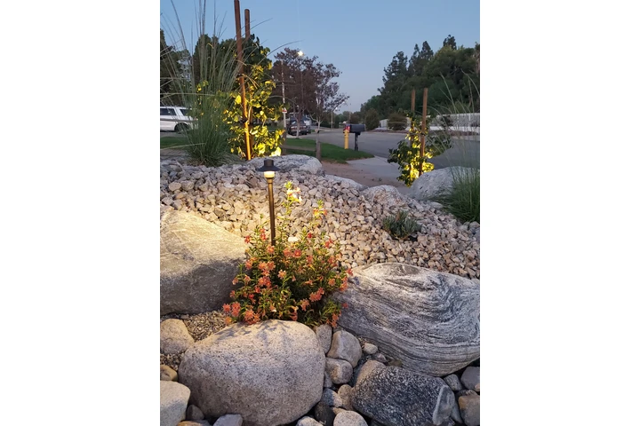 Landscape & Pool Construction image 3