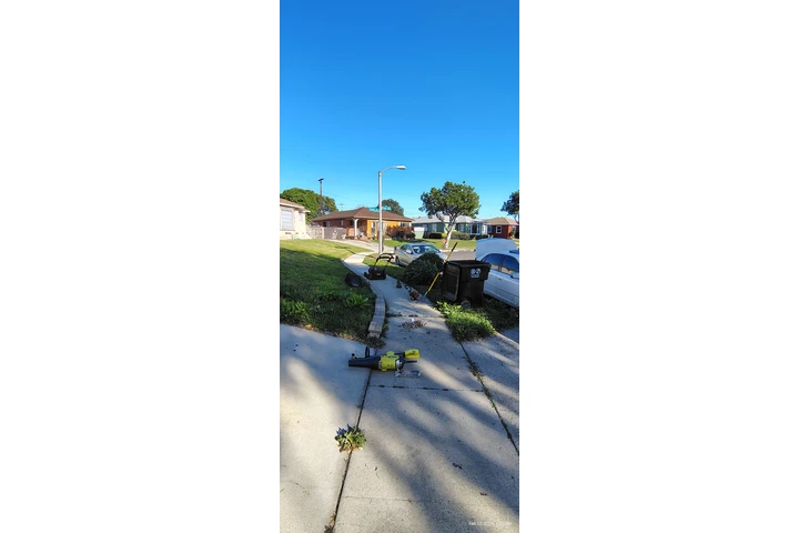 $35 Corte de Pasto $35 image 5