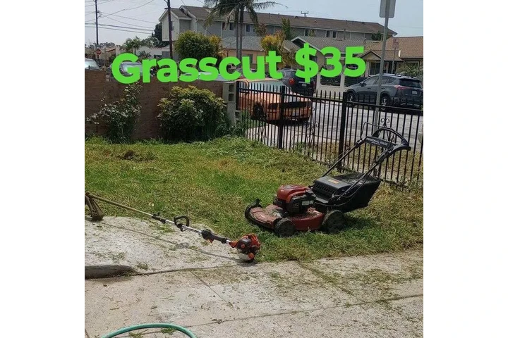 Corte de pasto 🌿👷🏼 image 4