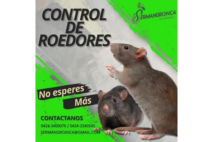 Fumigación y Control de Plagas image 2