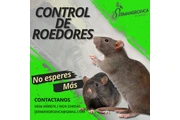 Fumigación y Control de Plagas thumbnail