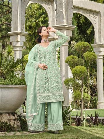 $30 : Party Wear Salwar Suit Mirraw image 1