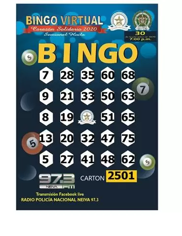 CARTONES DE BINGO VIRTUALES image 9