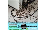 FUMIGACION EN TU HOGAR/NEGOCIO en Los Angeles