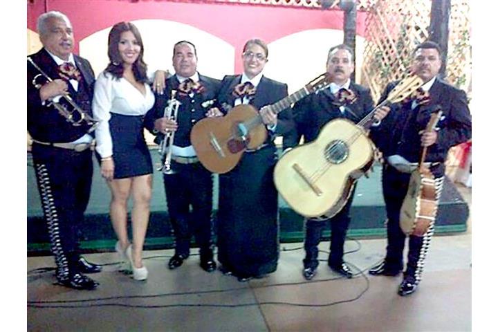 Mariachi Azteca De Oro image 10