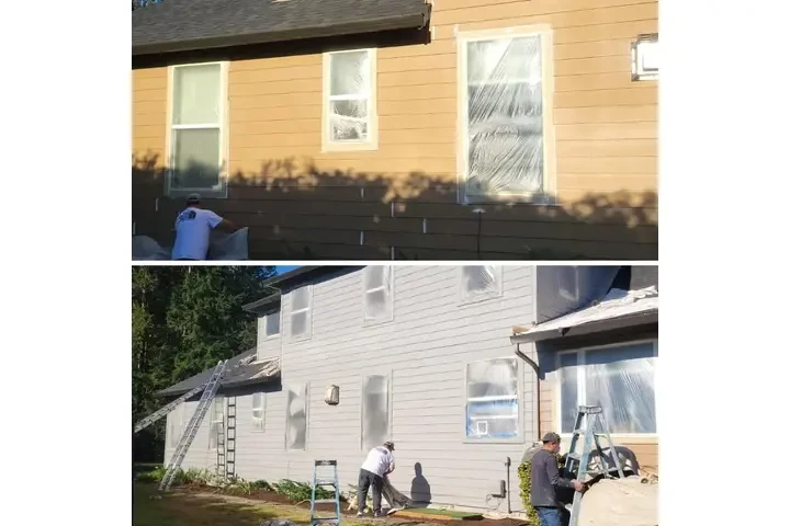 Remodeling  Painting Services image 4