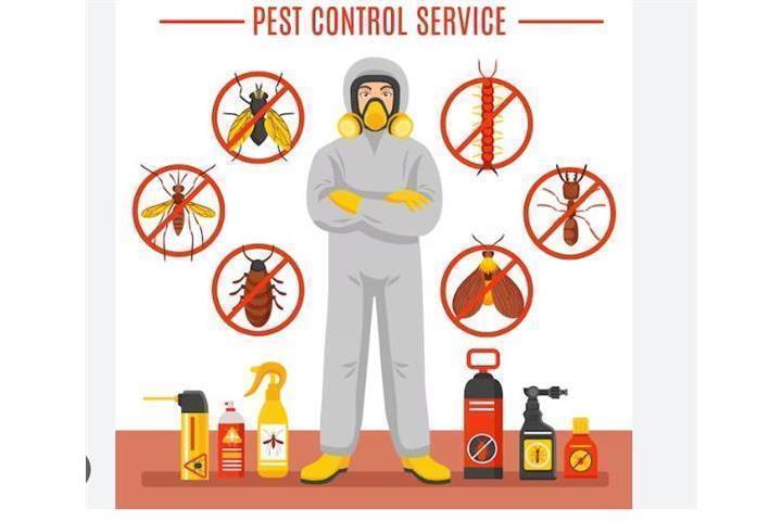 PIÑAS PEST CONTROL🦟🐀🐛 image 5