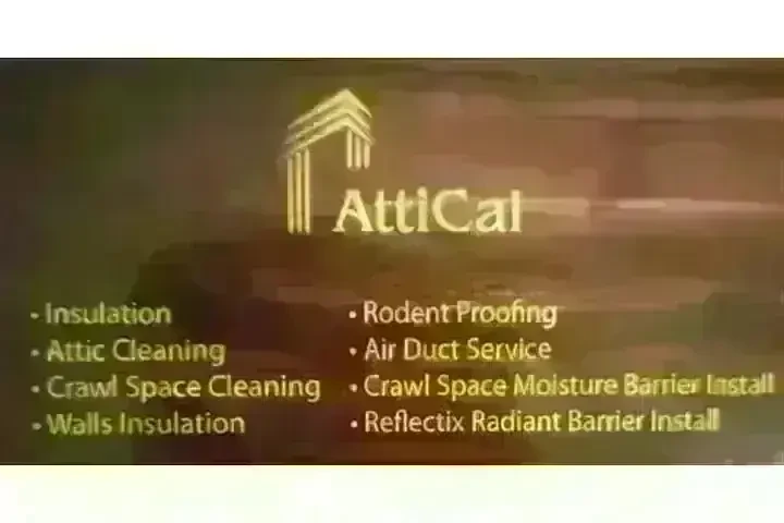 PEST CONTROL image 1