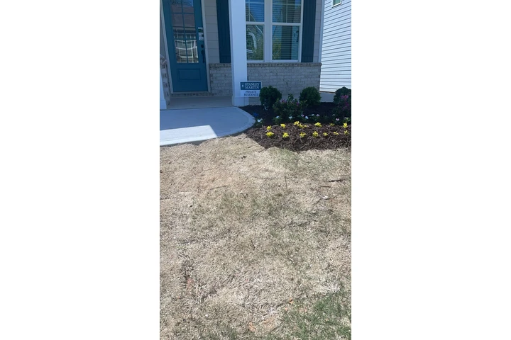 🌵MATÍAS LAWN SERVICES🌵 image 7