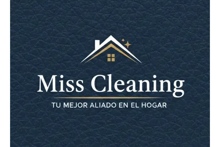 Limpieza profesional image 1