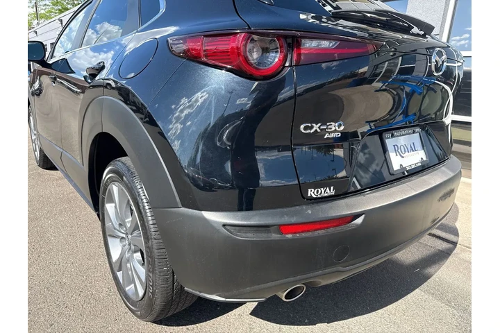 $24995 : 2025 CX-30 2.5 S Preferred Pa image 10