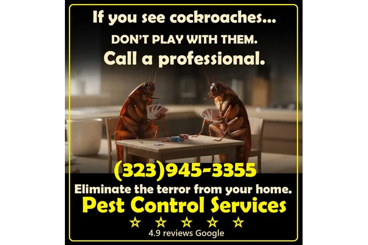 Fumigations - New Year 2026 image 7