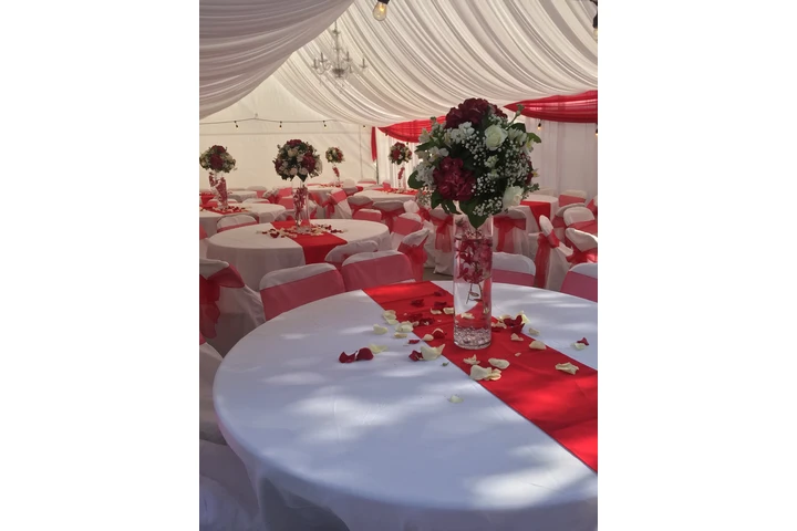 Dayana’s Party Rentals 🎉🎉🎉 image 4