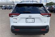 $25988 : 2019 RAV4 XLE thumbnail