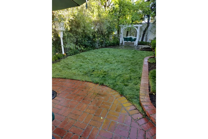 Gardening California image 10