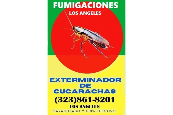 Fumigaciones East Los Angeles. image 2