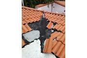 HANDYMAN  MIGUEL ANGEL thumbnail