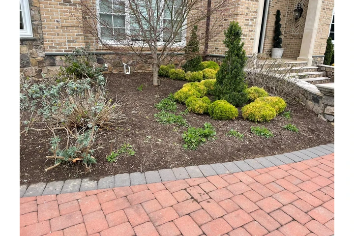 🌳HIDALGO LANDSCAPING SERVICES image 1