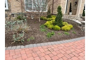 🌳HIDALGO LANDSCAPING SERVICES en Silver Spring