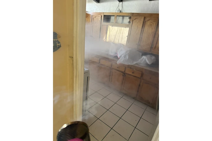Fumigaciones image 1